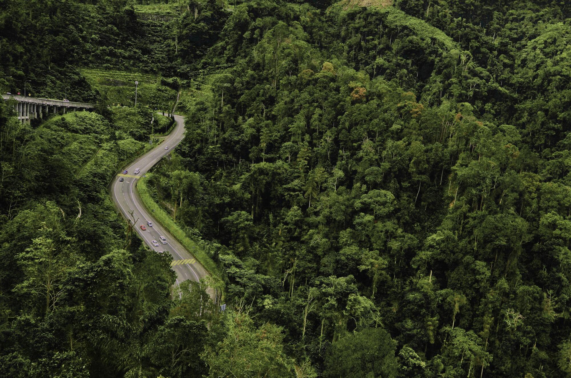 road trips in malaysia